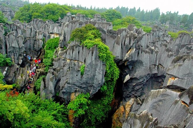 Stone Forest + Yiliang Roast Duck + Kunming City Private Tour - Key highlights you’ll care about