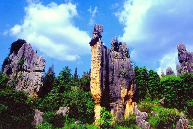 Stone Forest + Yiliang Roast Duck + Kunming City Private Tour - Choosing your Kunming city time, from old streets to Western Hills