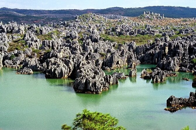 Stone Forest + Yiliang Roast Duck + Kunming City Private Tour - Price and value, what you’re really paying for