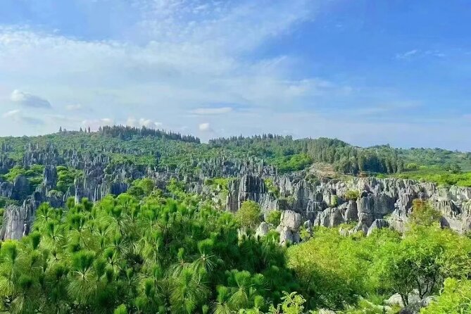 Stone Forest + Yiliang Roast Duck + Kunming City Private Tour - Making it personal: tips for a smoother day