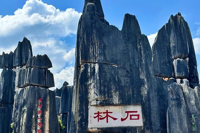 Stone Forest + Yiliang Roast Duck + Kunming City Private Tour - Hotel pickup that saves your morning sanity