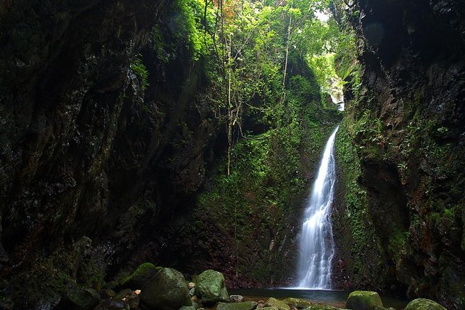 Tai Mo Shan Waterfall Adventure Hike - Trading Skyscrapers for Waterfalls on Tai Mo Shan