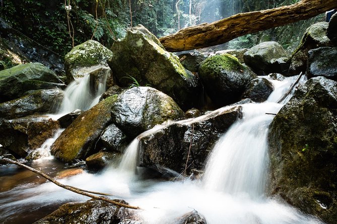 Tai Mo Shan Waterfall Adventure Hike - The Route: From Ng Tung Chai Waterfall to Main Falls