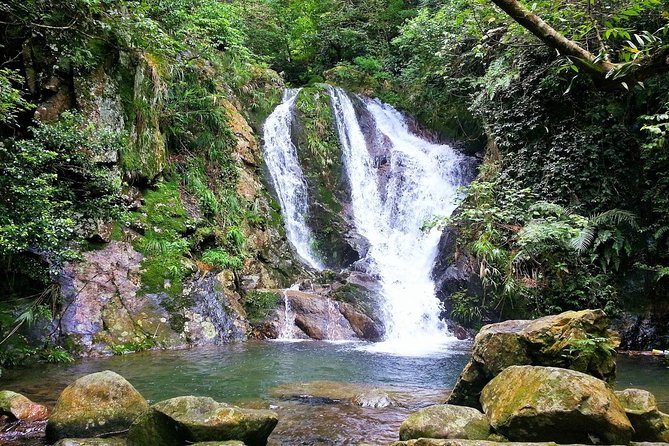 Tai Mo Shan Waterfall Adventure Hike - How Guides Like Tristan and Rory Make It Worth the Sweat
