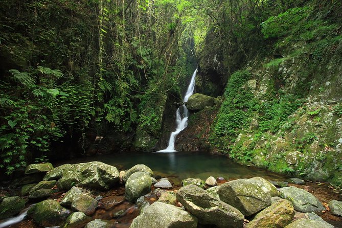 Tai Mo Shan Waterfall Adventure Hike - Pacing, Fitness, and Choosing Your Comfort Level