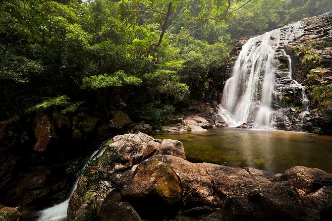 Tai Mo Shan Waterfall Adventure Hike - Getting Started at MTR Tai Wo, Then Going Off-Grid
