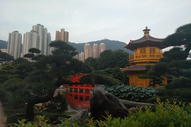 Taking you to every corner of Hong Kong! - Central Star Ferry Pier: Your Quick Hit of Victoria Harbour