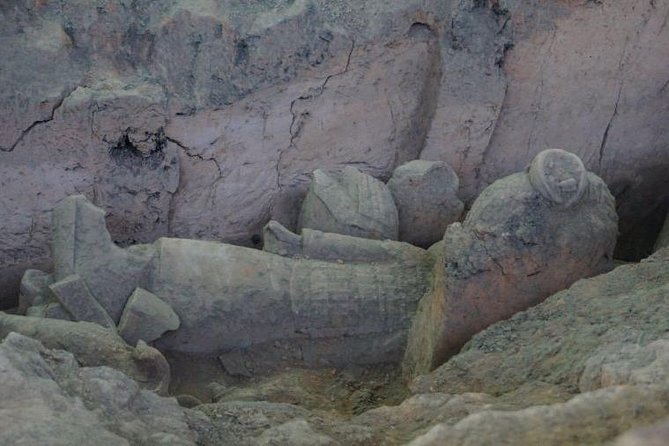 Terra cotta Army Museum Private Tour With English Guide Service - A Private English Guide Makes the Terracotta Army Click