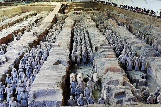 Terra-cotta Warriors Entrance Ticket with Optional Guided Service - Group size and guide style: what changes for you