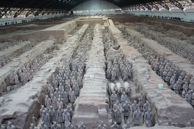 Terra-Cotta Warriors & Horses Essential Full Day Tour from Xi'an - Why a good guide matters at the warriors