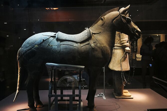 Terracotta Warriors Small Metro Group Tour - Should You Book This Terracotta Warriors Small Metro Group Tour?