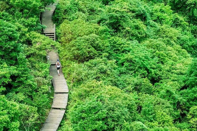 The Big Buddha & Lantau Island - Private Tour with Private Car - Price and What You Are Actually Paying For