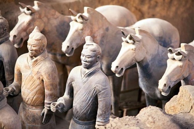 Three Day Xi'an Adventure private Tour with Mt.Hua - Why a private Huashan trip actually makes sense