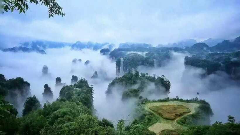 Tianmen Mountain National Forest Park - Timing Tips: Afternoon Entrances and Getting the Best Light