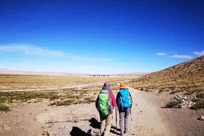Tibet Tour 15 Days Lhasa to Kailash Trekking Small Group via EBC - Lake Yamdrok Yumtso and the Gyantse combo that keeps days interesting