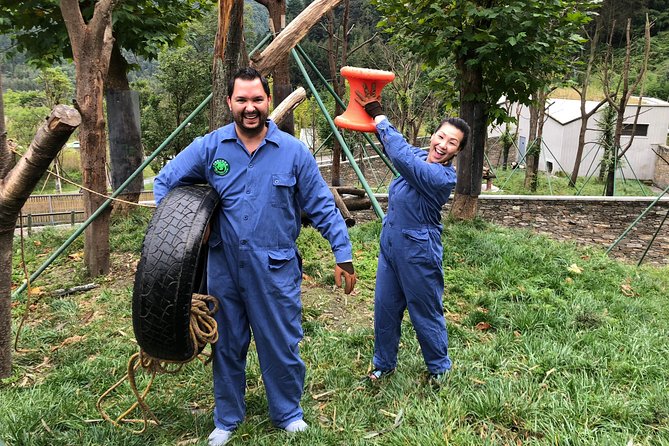 Visiting Dujiangyan Yaan Wolong Panda Base Optional Volunteering - Price and what you actually get for $234