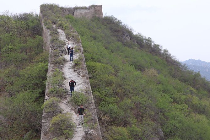 Wild Great Wall Hikes - Should you book the Wild Great Wall Hikes?