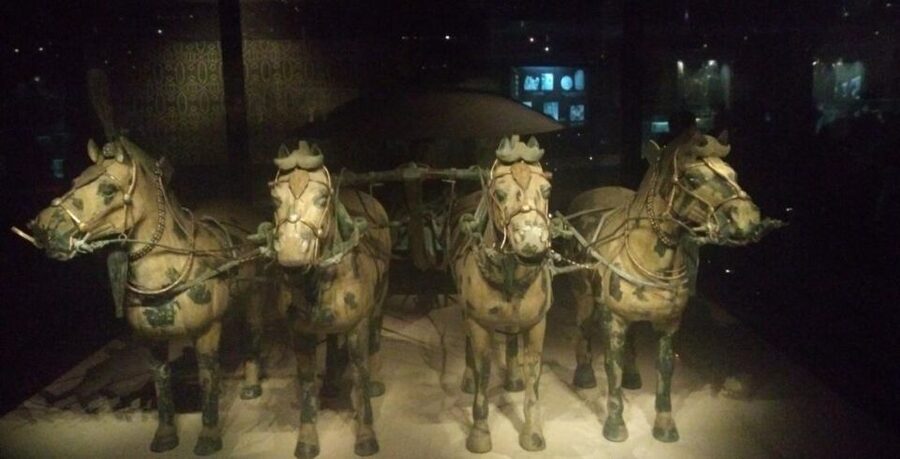 Xi'an: Half-Day Terracotta Warriors & Horses Museum Tour - Who this tour fits best, and who should skip it