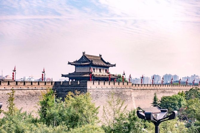 Xi'an Highlights Day Tour - Pickup, private transport, and the comfort factor you feel right away