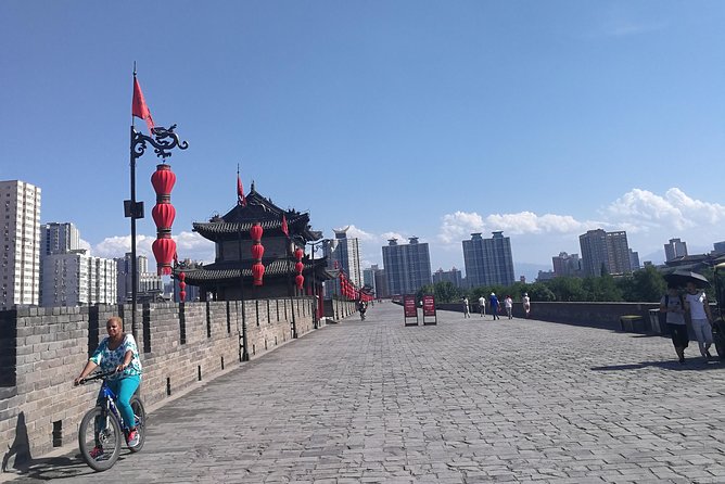 Xi'an Highlights Day Tour - Entrance fees included, plus the value logic behind the $162.49 price