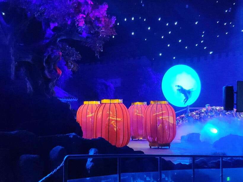 Xi'an Silk Road: Legend of Camel Bell Show Ticket w/Transfer - Key Things I’d Watch For Before You Go