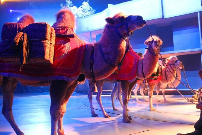 Xi'an Silk Road: Legend of Camel Bell Show Ticket with Transfer - Key highlights at a glance