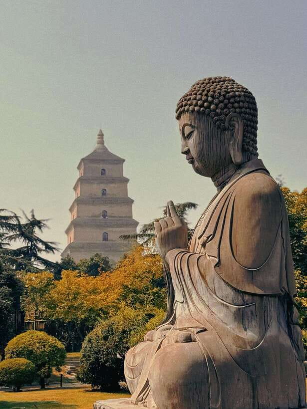 Xi'an: Terracotta Army and Big Wild Goose Pagoda Tour - Should you book the Xian Terracotta Army and Big Wild Goose Pagoda tour?