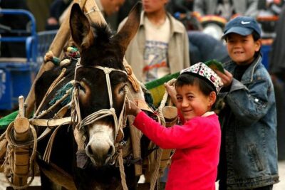 Xinjiang Best Classic Silk Road Tour with Locals