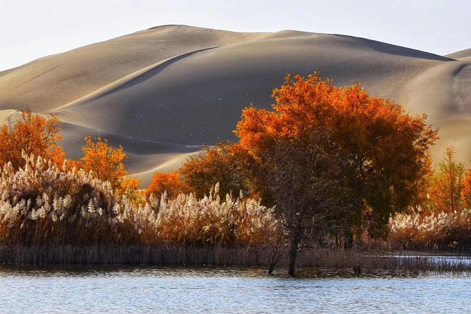 Xinjiang Best Classic Silk Road Tour with Locals - Kuqa and the Kizil Caves: understanding cave paintings, not just snapping pictures