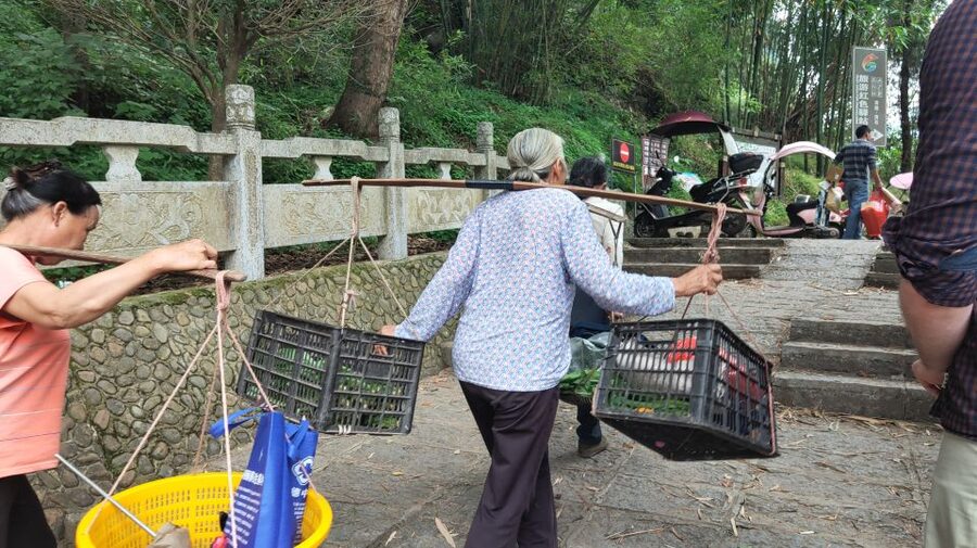 Yangshuo: Full-Day Private Countryside Hiking Tour - Through Yu Long Valley: karst views, ancient villages, and fish-farm fun