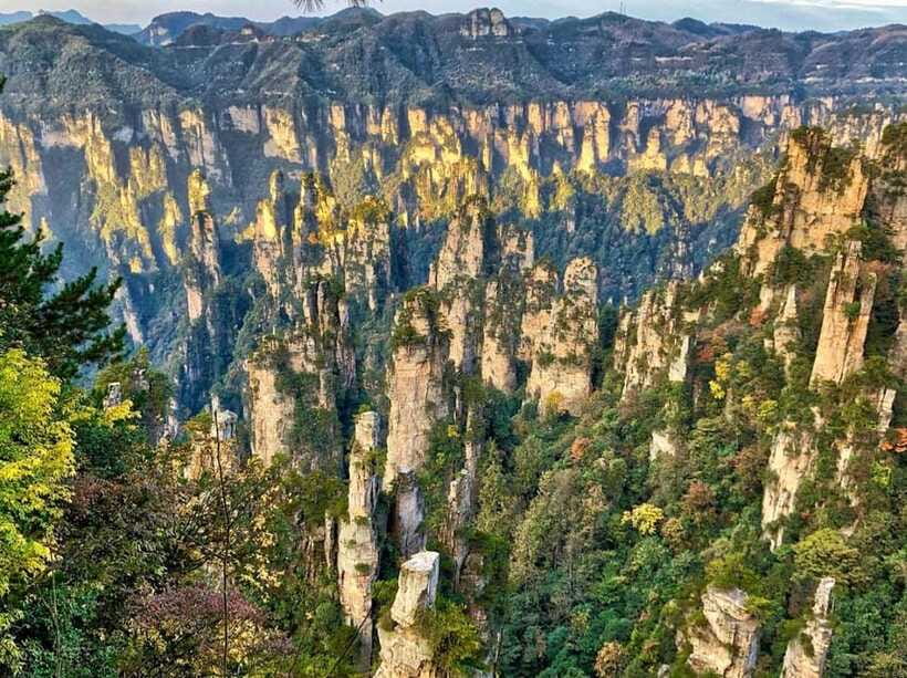 Zhangjiajie: Highlights Tour with Glass Bridge & Cable Car - Tianzi Mountain Cable Car Down, Then Out of Wulingyuan Park