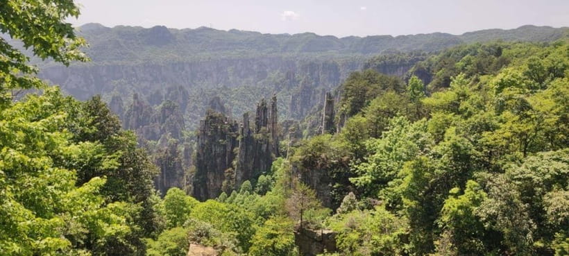 Zhangjiajie: National Forest Park 1-Day VIP Private Tour - Key things I’d zero in on before you go