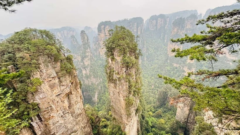 Zhangjiajie: National Forest Park 1-Day VIP Private Tour - Yuanjiajie: pillars, filming lore, and viewpoints you can actually follow