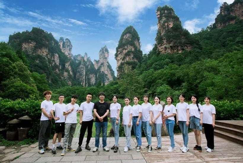Zhangjiajie: National Forest Park 1-Day VIP Private Tour - Bailong Elevator: why that one ride becomes the day’s headline