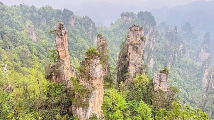 Zhangjiajie: National Forest Park 1-Day VIP Private Tour - Getting from Zhangjiajie city to the National Forest Park without stress