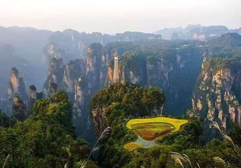 Zhangjiajie National Forest Park: Private Tour and Transport - Yuanjiajie and Enchanting Stage, Where the Pillars Steal the Show