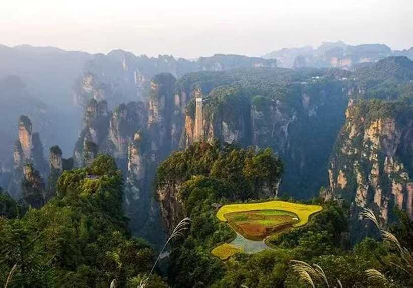 Zhangjiajie National Forest Park: Private Tour and Transport - Tianzi Mountain at 1,262 Meters, Cloud Seas and Jagged Peaks