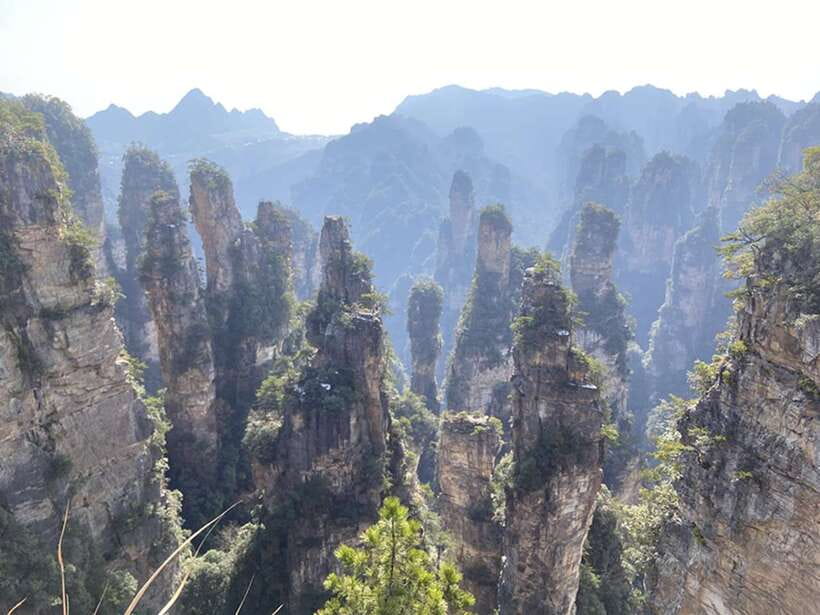 Zhangjiajie National Forest Park: Private Tour and Transport - Down by Cable Car, Legs Rested, Views Still Rolling