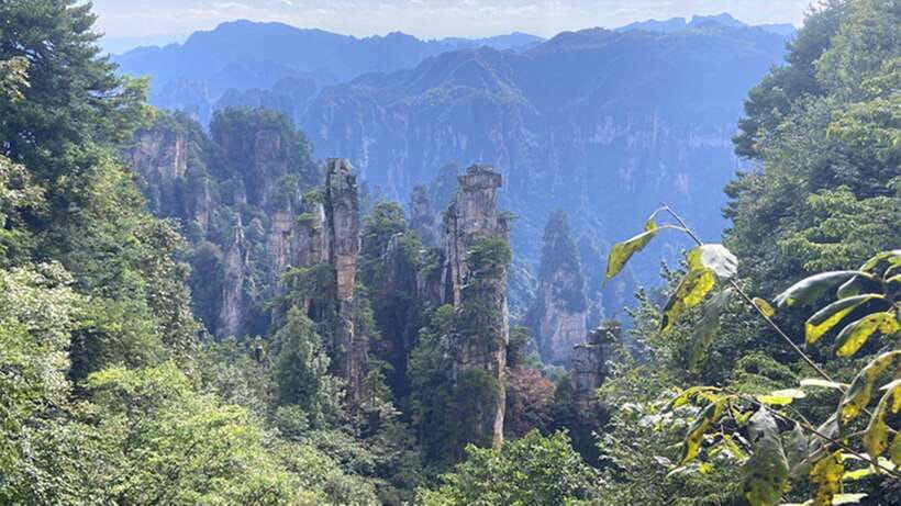 Zhangjiajie National Forest Park: Private Tour and Transport - A Small Walk in the Wulingyuan Area, Optional Local Food or Tea