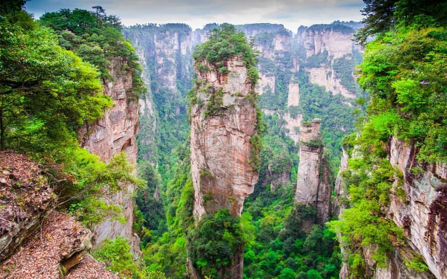 Zhangjiajie: VIP Zhangjiajie National Forest Park Day Tour - VIP fast entry at Zhangjiajie, and why it changes your whole day