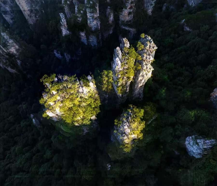 Zhangjiajie: VIP Zhangjiajie National Forest Park Day Tour - Bailong Elevator and Hallelujah Mountain: the sky-high center of the day