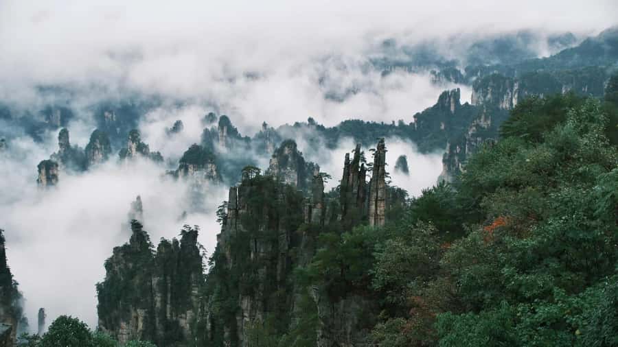 Zhangjiajie: VIP Zhangjiajie National Forest Park Day Tour - Yuanjiajie pillars and No. 1 Bridge under Heaven: where the photos work