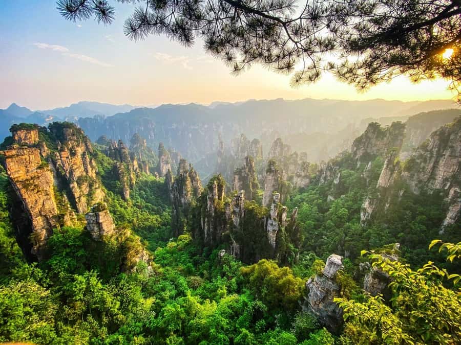Zhangjiajie: VIP Zhangjiajie National Forest Park Day Tour - Ten-mile Gallery: slow walking, optional mini train, and a classic scene