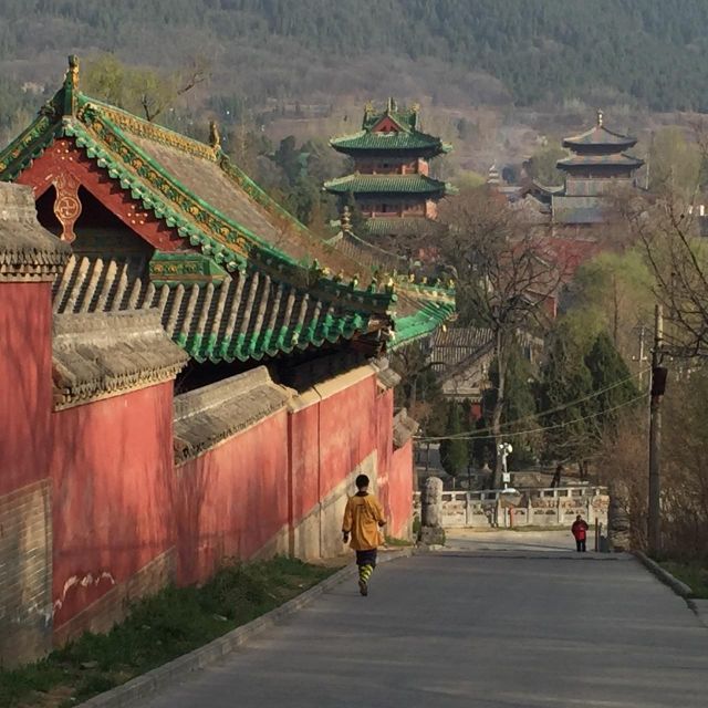 Zhengzhou: Private Tour to Shaolin Temple & Longmen Grottoes - Shaolin Temple on Mount Song: Halls, Courtyards, and the Pagoda Forest